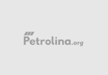 fundo logo